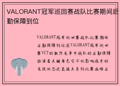 VALORANT冠军巡回赛战队比赛期间后勤保障到位