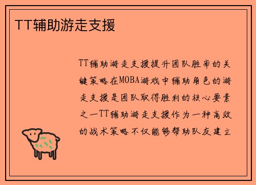 TT辅助游走支援